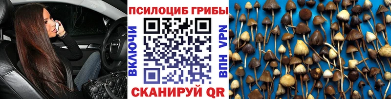 Псилоцибиновые грибы мицелий  Долинск 